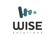 Wise Solutions – разработка и внедрение комплекса услуг для эффективно